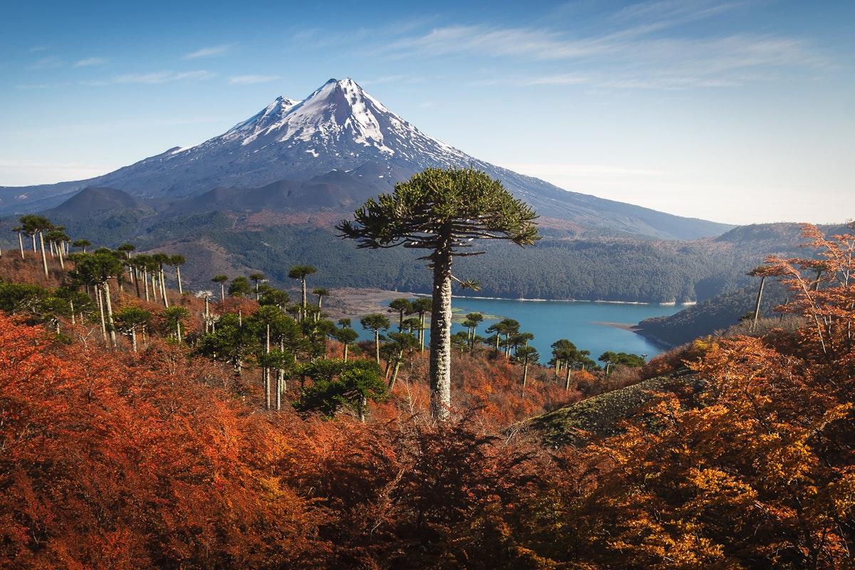 Volcán Llaima