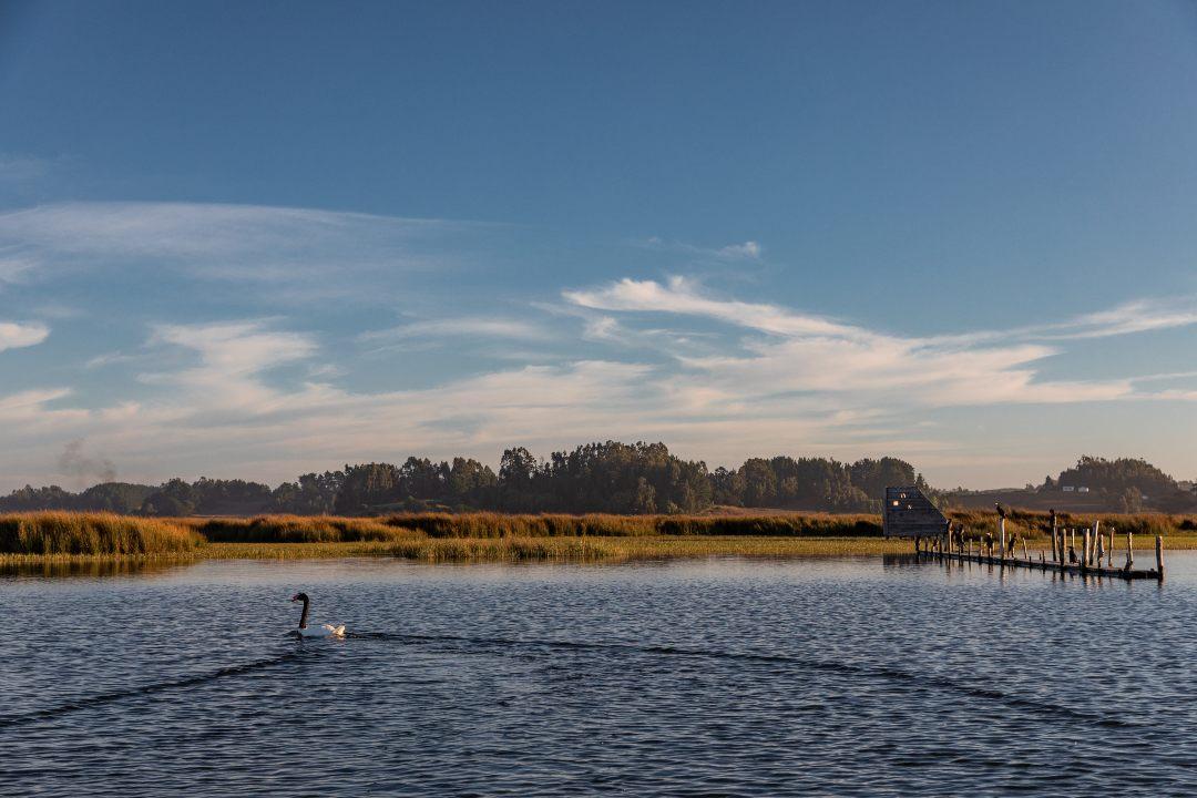 Lago Budi