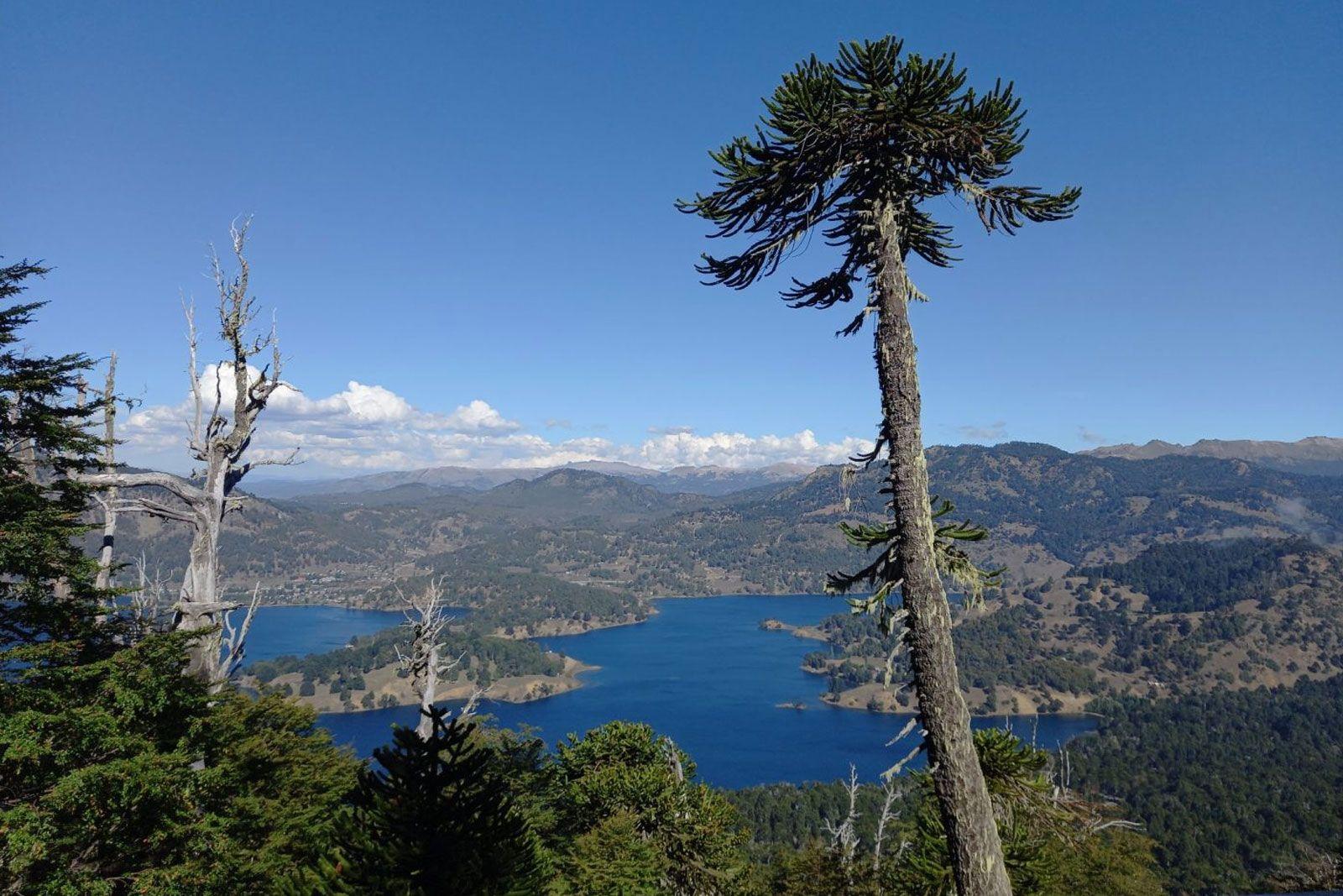 Laguna Icalma