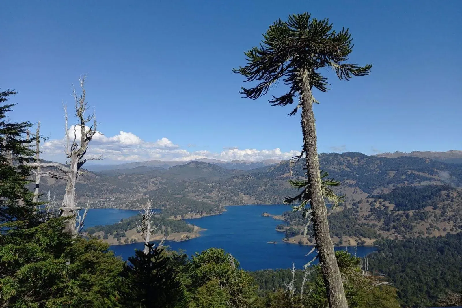 Laguna Icalma