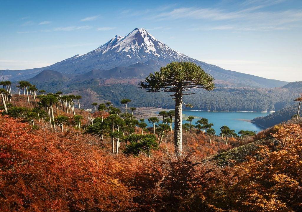 Parque Nacional Conguillío