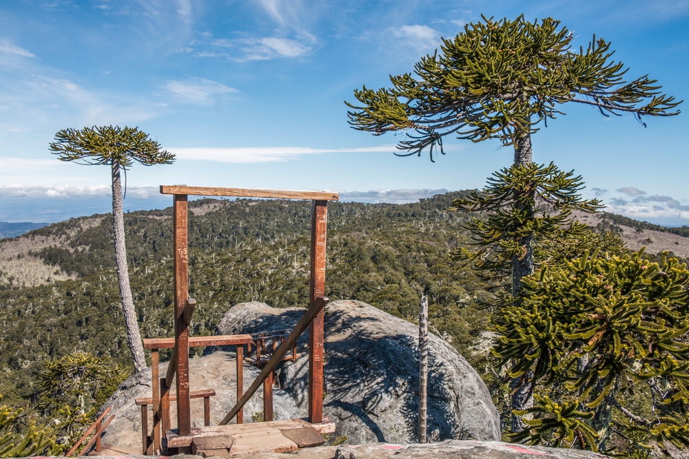 Parque Nacional Nahuelbuta