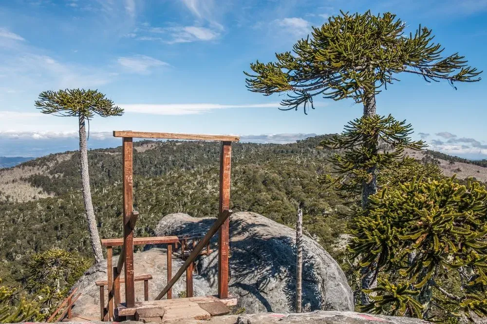 Parque Nacional Nahuelbuta