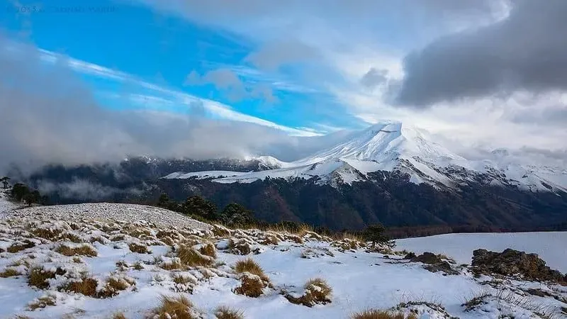 Reserva Nacional Malalcahuello