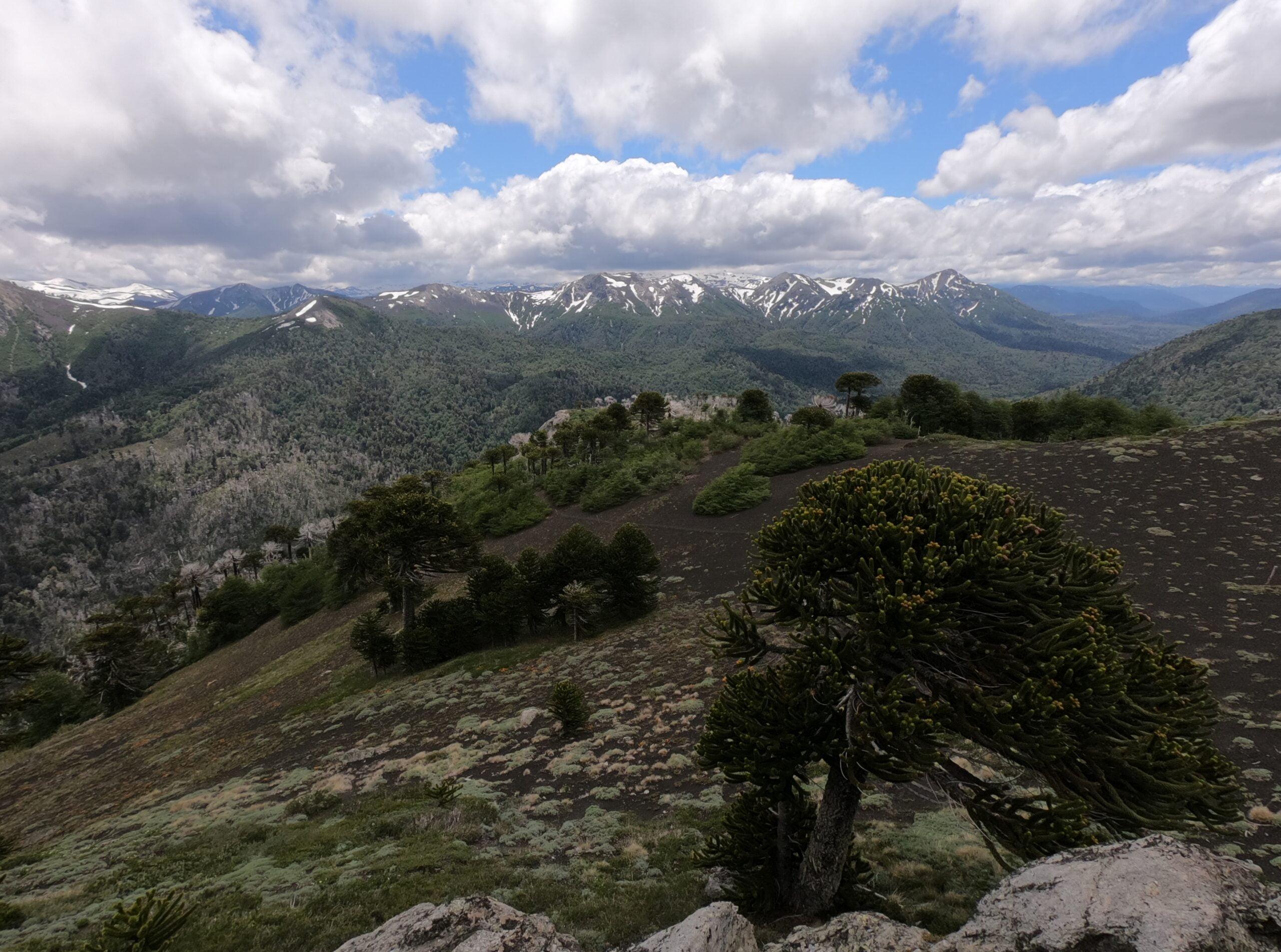 Reserva Nacional China Muerta