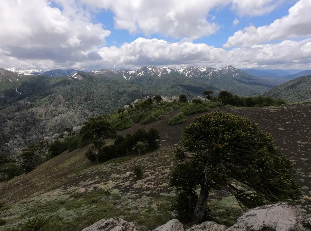 Reserva Nacional China Muerta