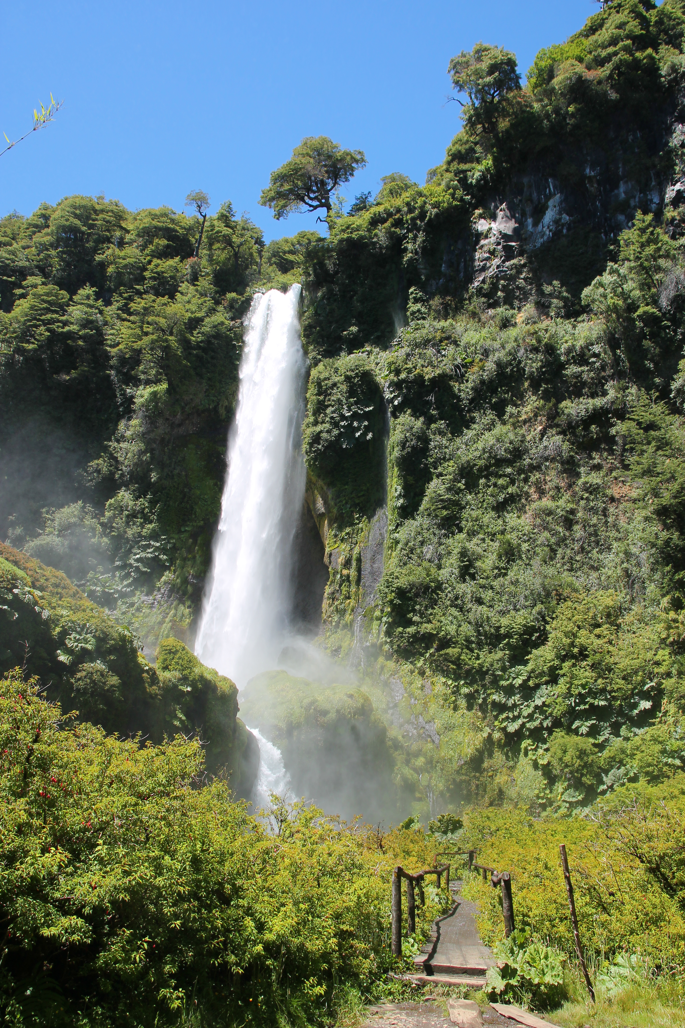 Salto del León