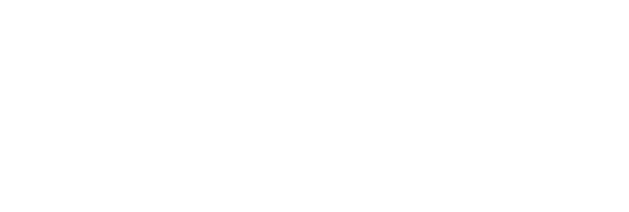 Fioleva Logo