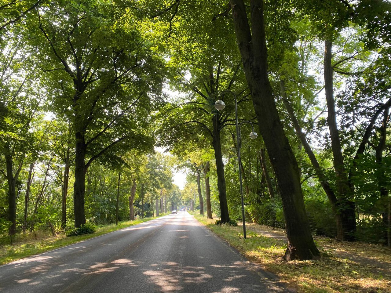 Route photo