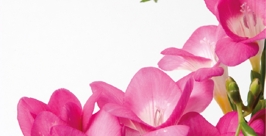 Bud's Flowers, Inc.