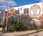 Plant Chicago