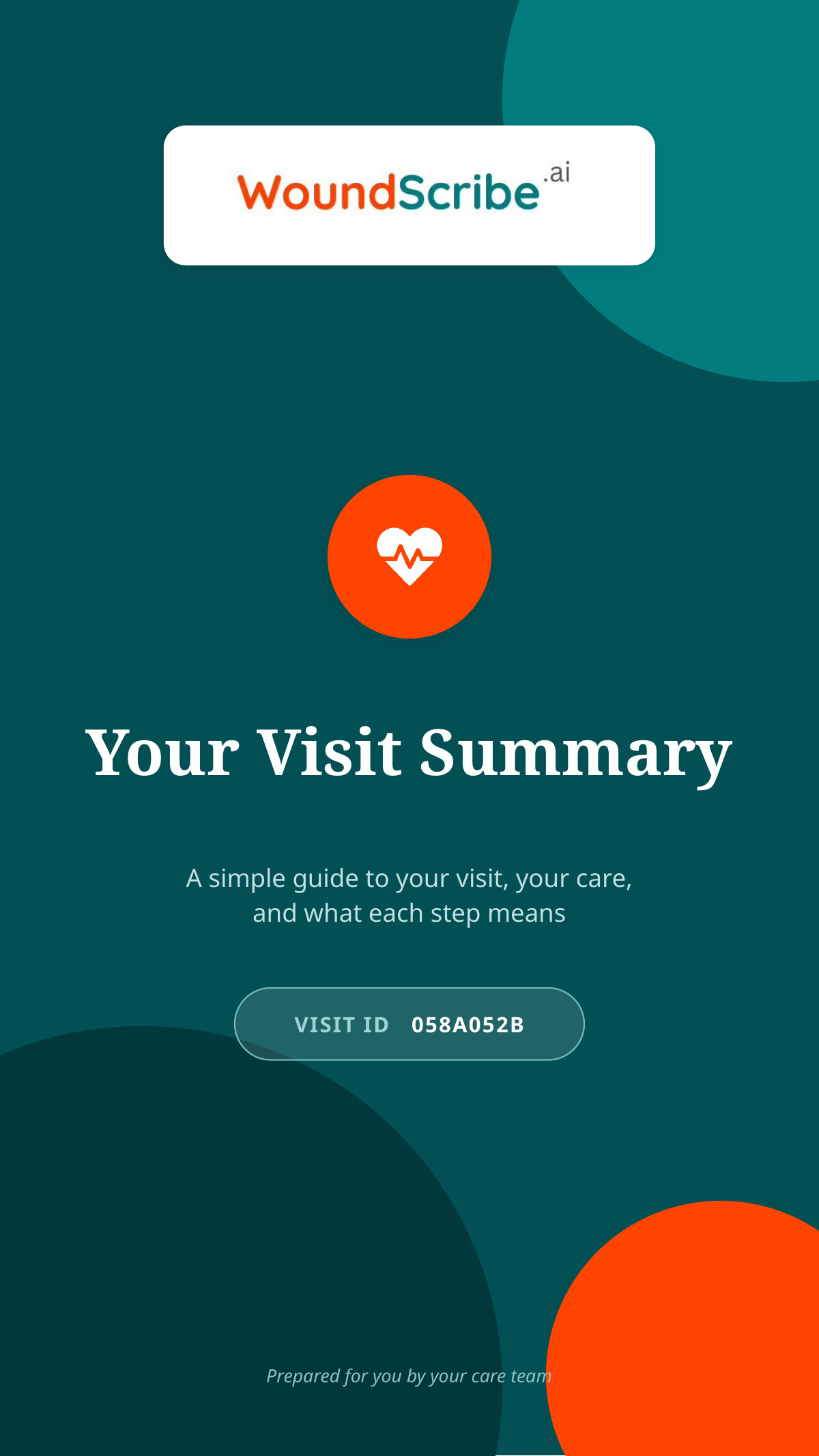 Visit Patient Summary - DFU