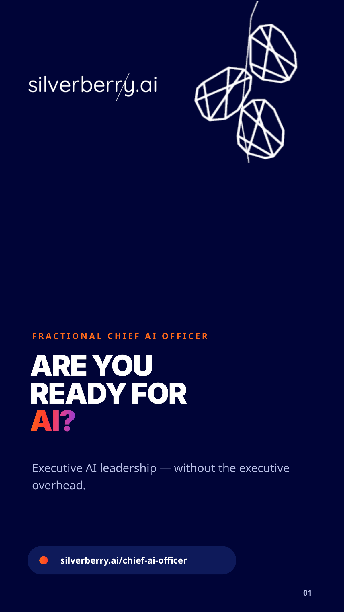Silverberry Chief AI Officer