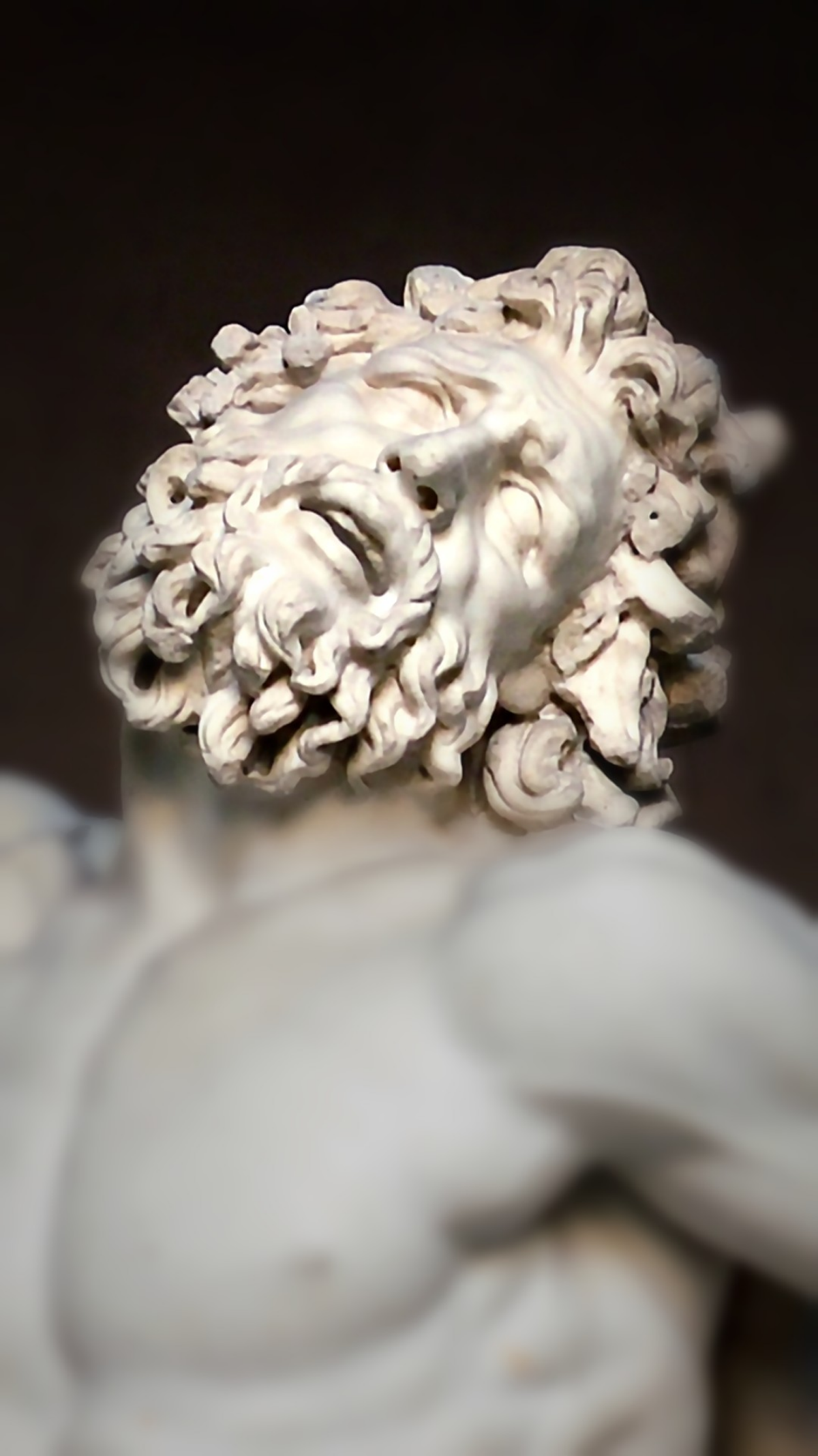 Laocoön and His Sons