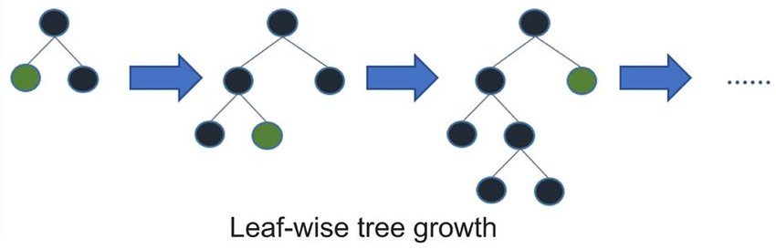 Leaf Wise Trees