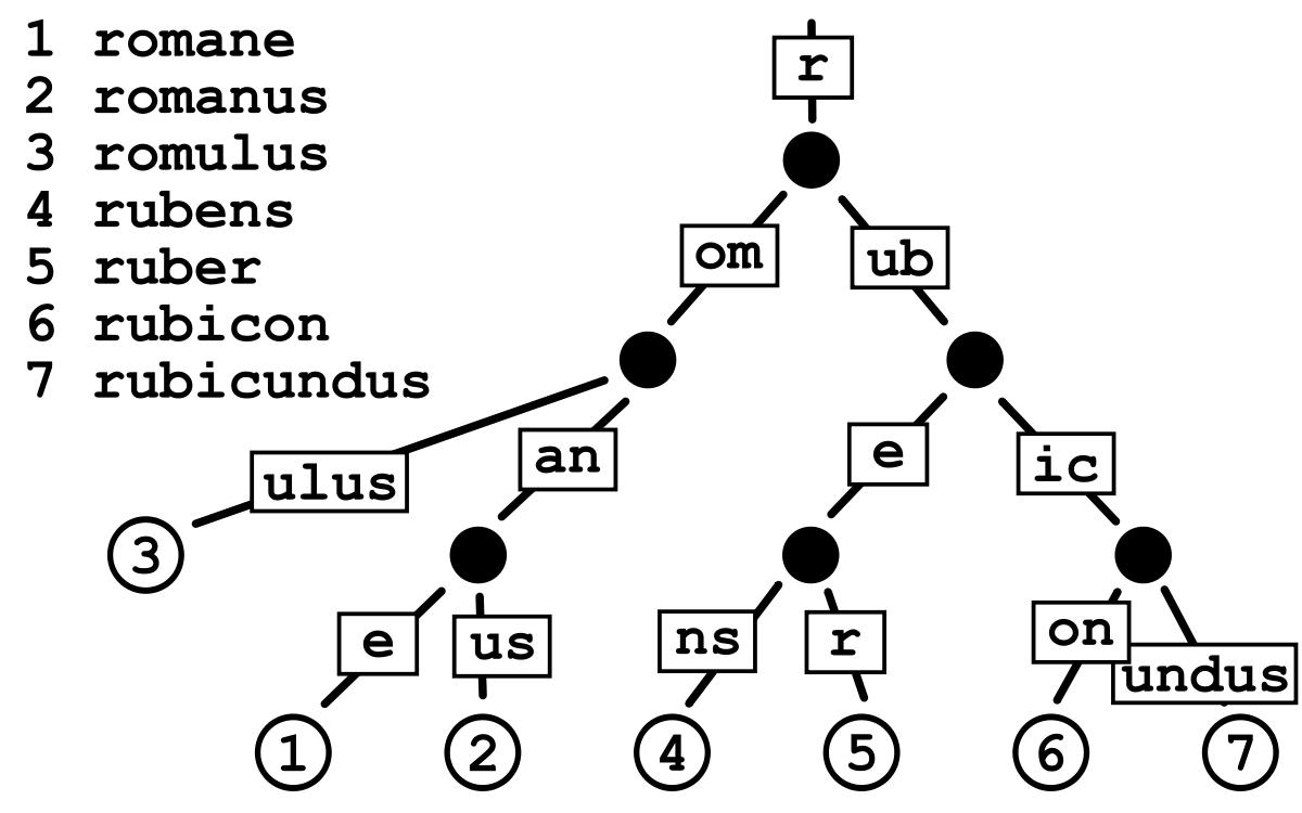 Trie Data Structure