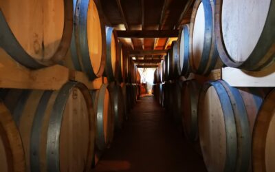 Domaine Des Forges — photo 4