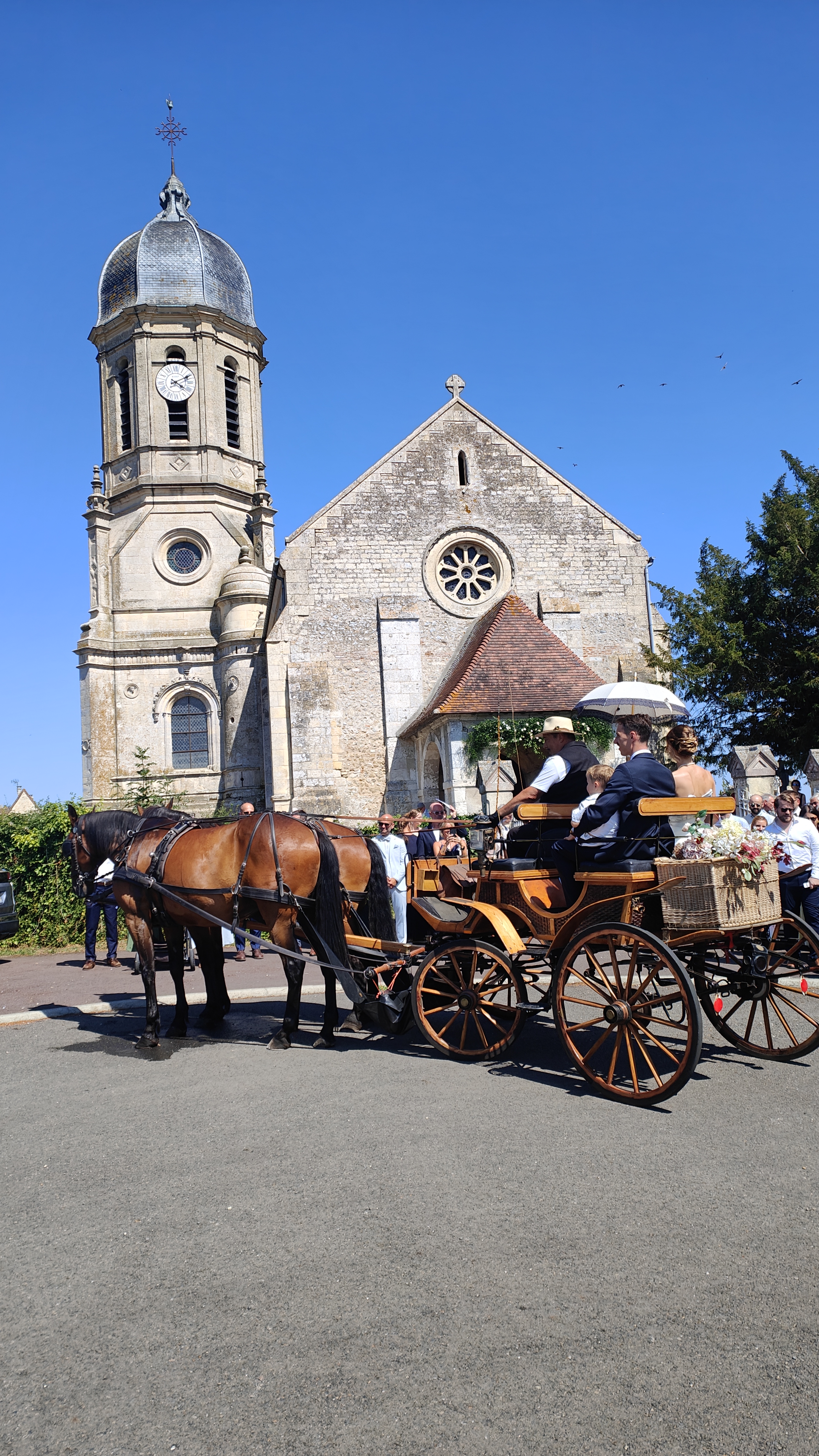 La calèche de Saint-Pierre — photo 3