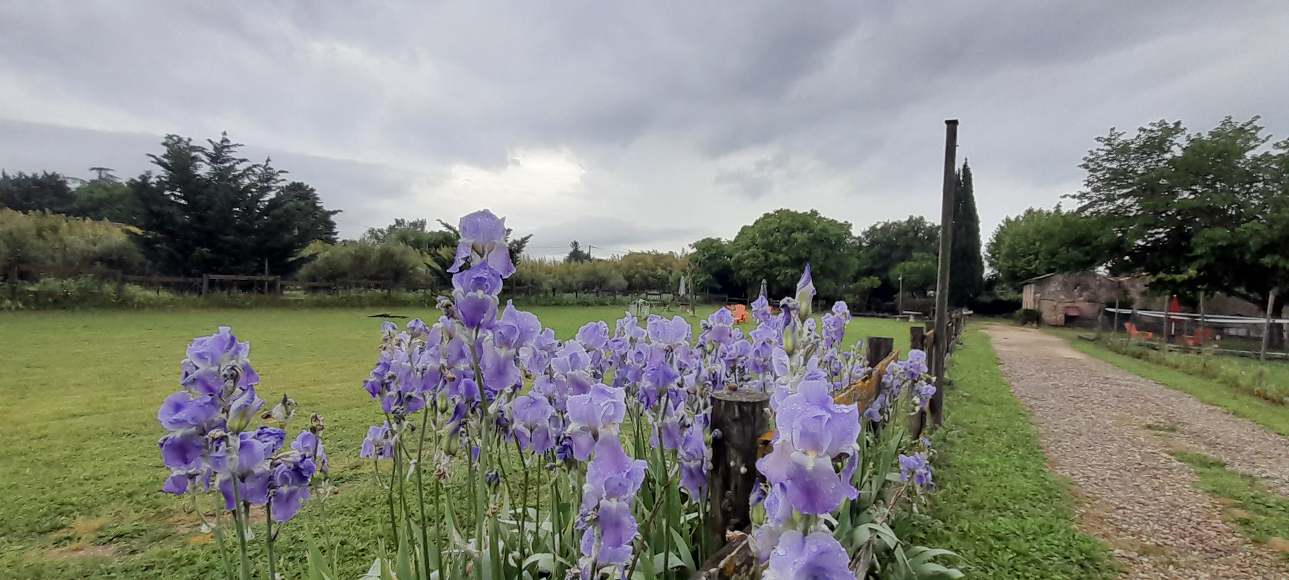 Domaine Les Peupliers — photo 5