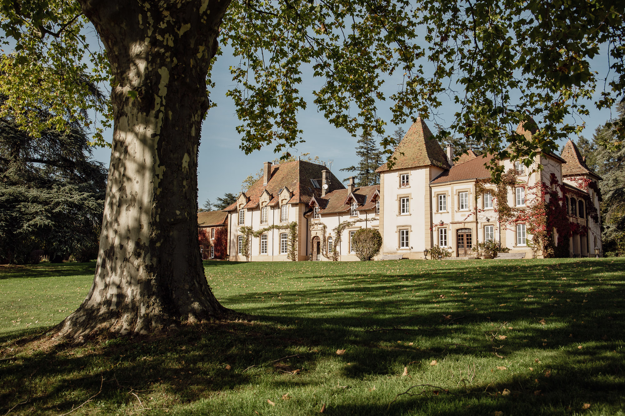 DOMAINE DES GRANDS CEDRES
