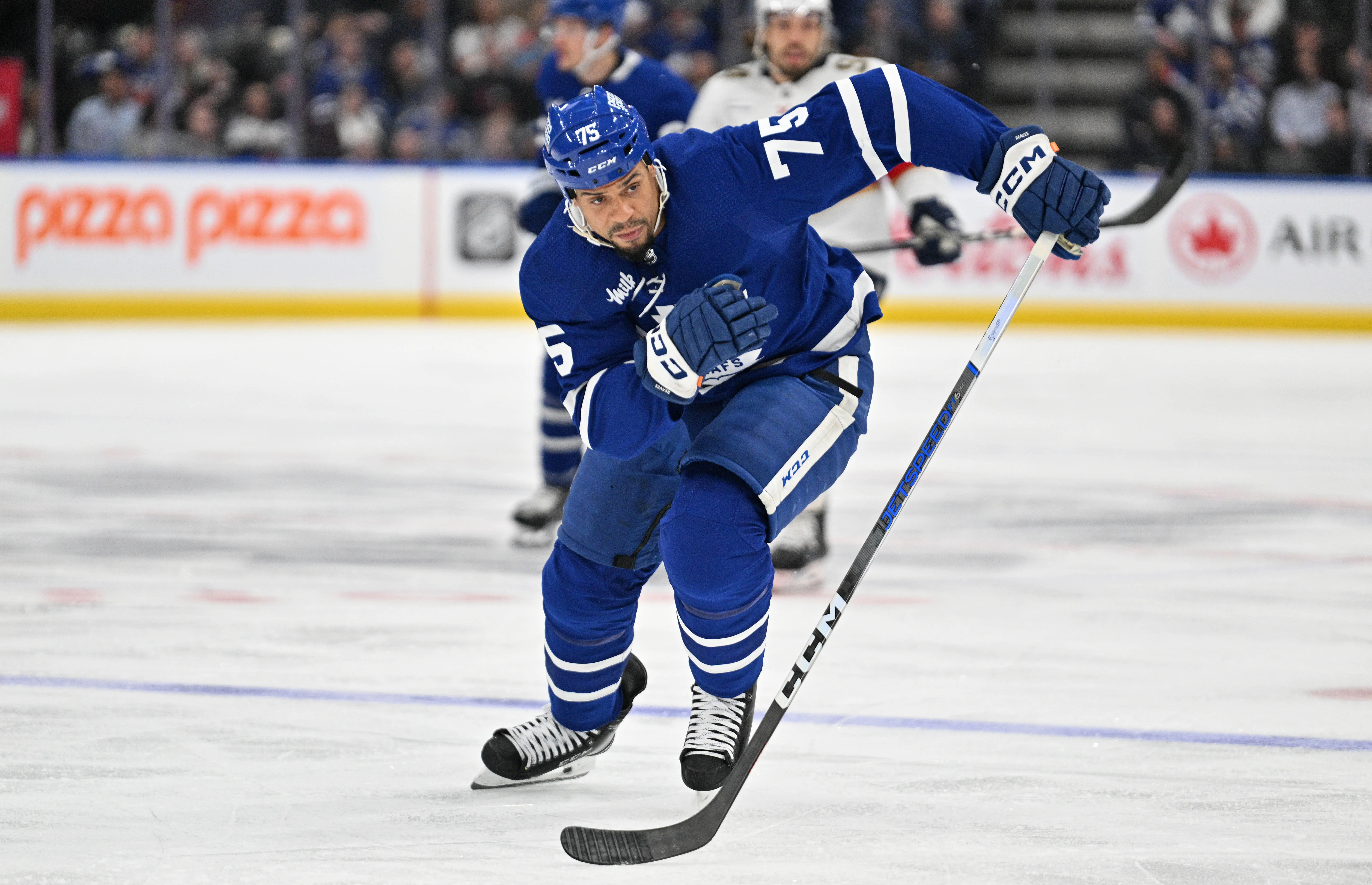 'We'll See What Happens With That': Marlies Coach John Gruden Hasn't ...