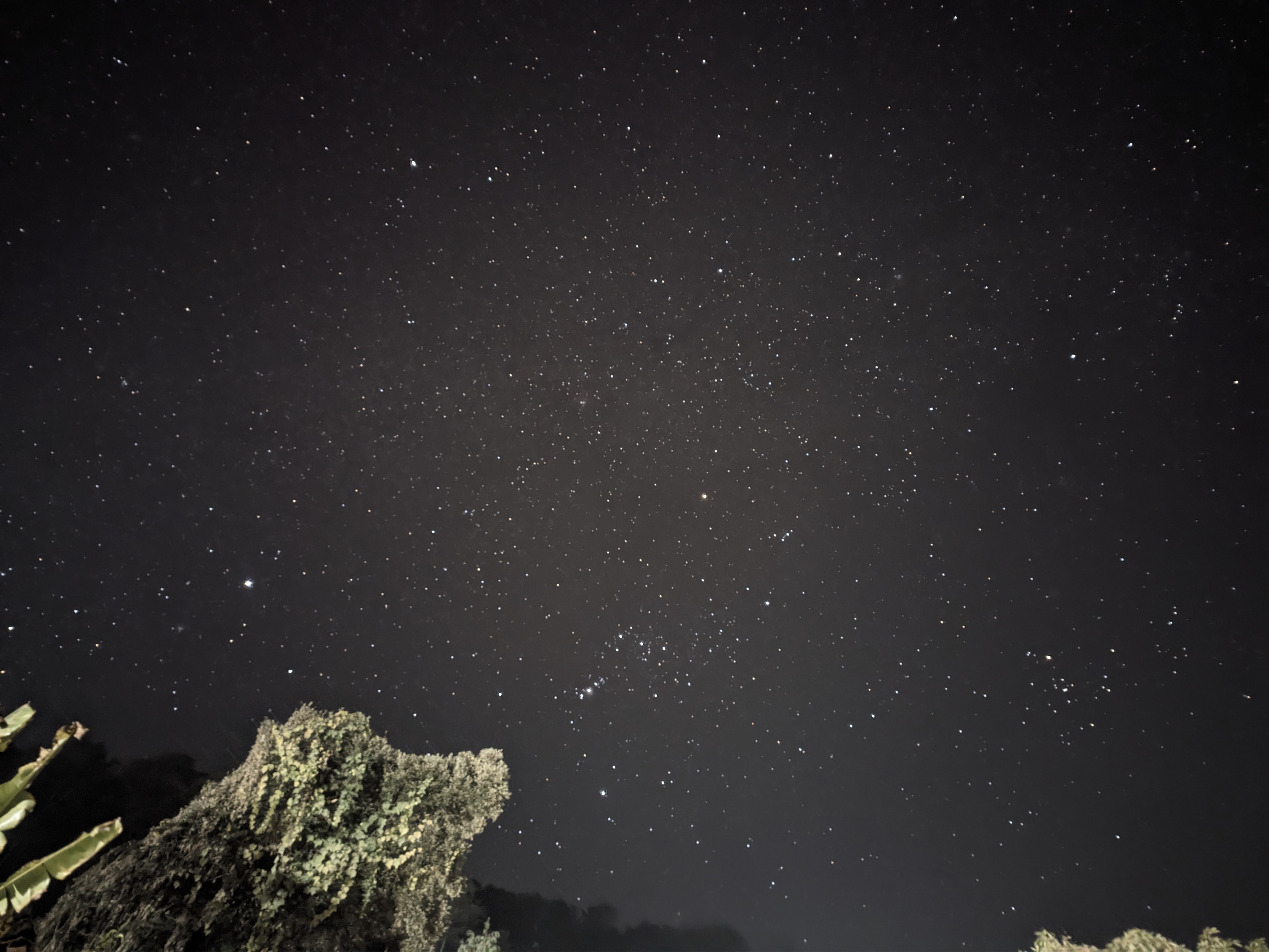 The clear night of Sillerygaon with "Kalpurush constellation"