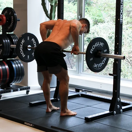 Bent Over Rows with a Barbell