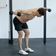 Butterfly Reverse with dumbbells