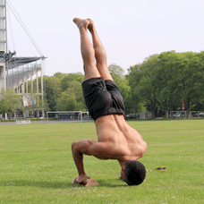 Handstand Liegestütze an den Paralletes