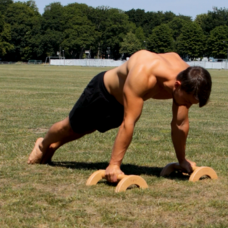 Scapular Push Ups an den Paralletes