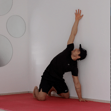 Wall Assisted Quadruped Rotations