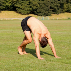 Alternating Downward Dog Pose