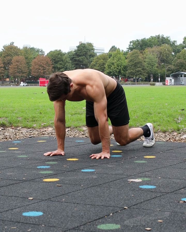 Quadruped Stand, All Fours Position