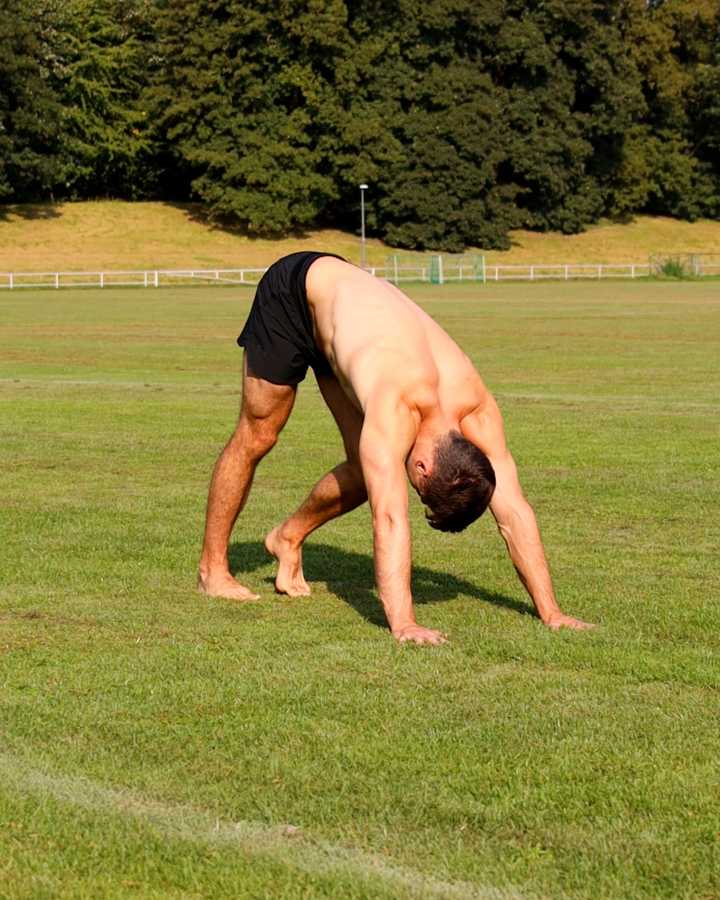 Alternating Downward Dog Pose