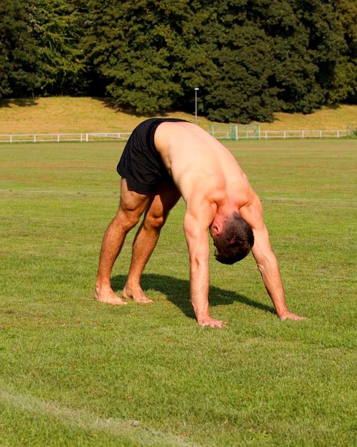 Herabschauender Hund, Downward Dog