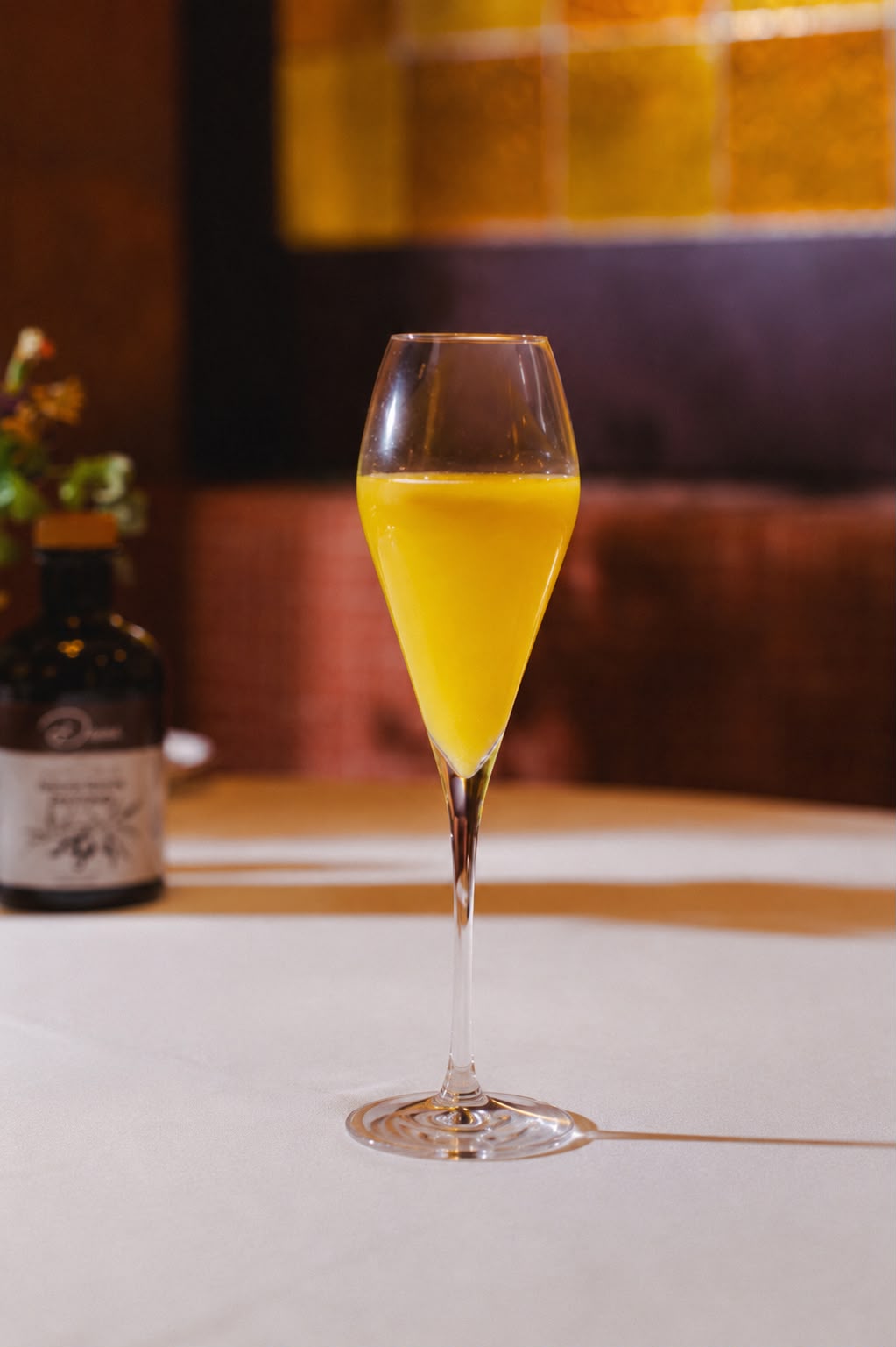 Mimosa