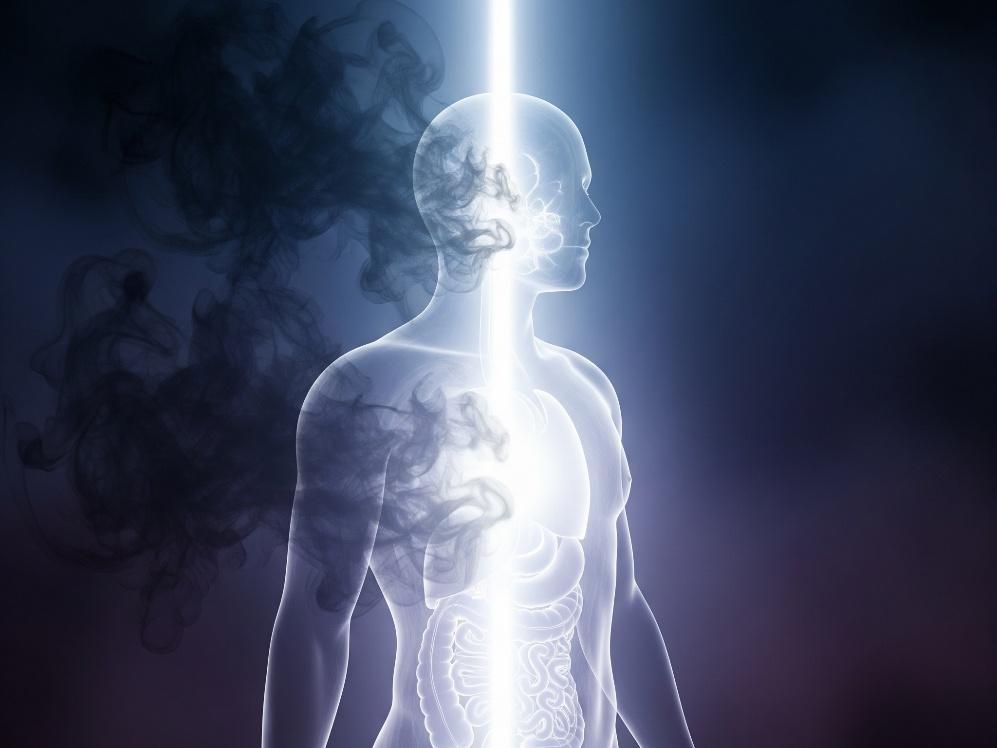 Body's natural detox organs including liver, kidneys, and lungs illustration