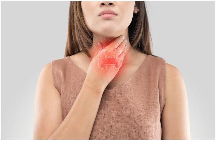 Thyroid gland and symptoms of iodine deficiency including goiter and hypothyroidism
