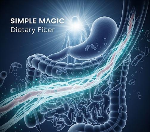 Fiber-rich foods including whole grains, legumes, fruits, vegetables, nuts, and seeds