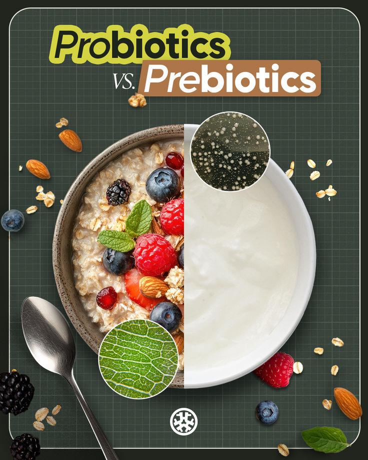 Probiotic-rich fermented foods including yogurt, kefir, sauerkraut, kimchi alongside probiotic supplements