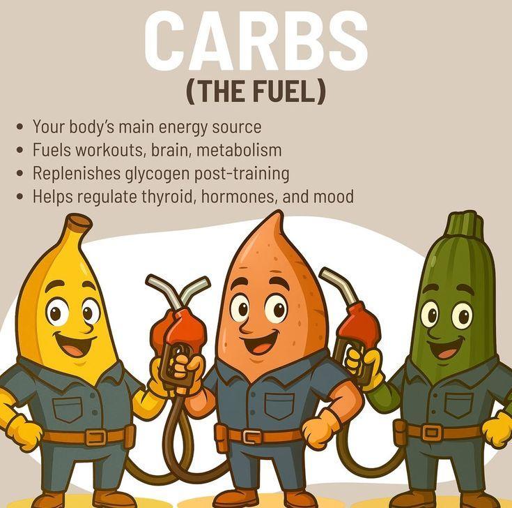 Fiber-rich complex carbohydrates including oats, quinoa, legumes, fruits, and whole grain bread