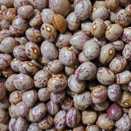 Hình đại diện