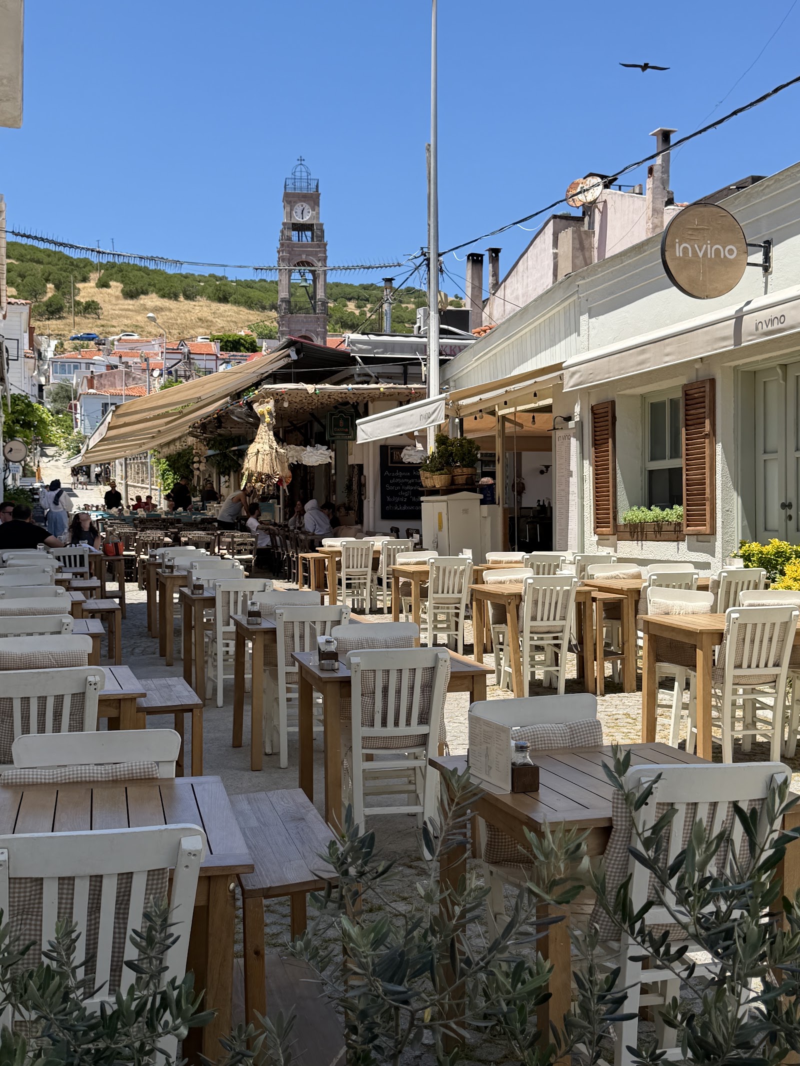 In Vino Bozcaada