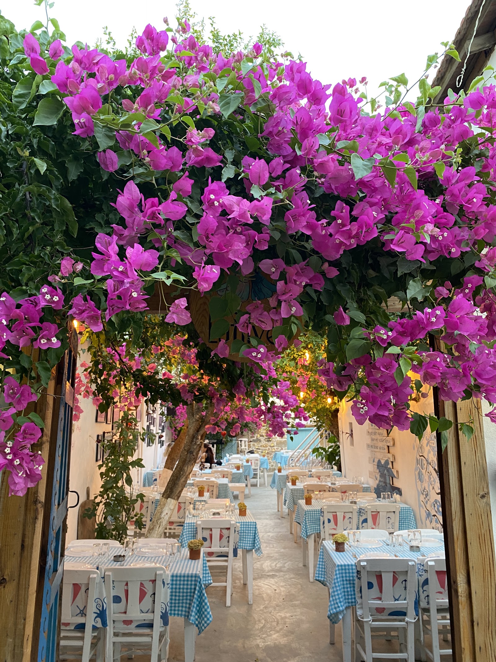 Lütfiye Sığacık