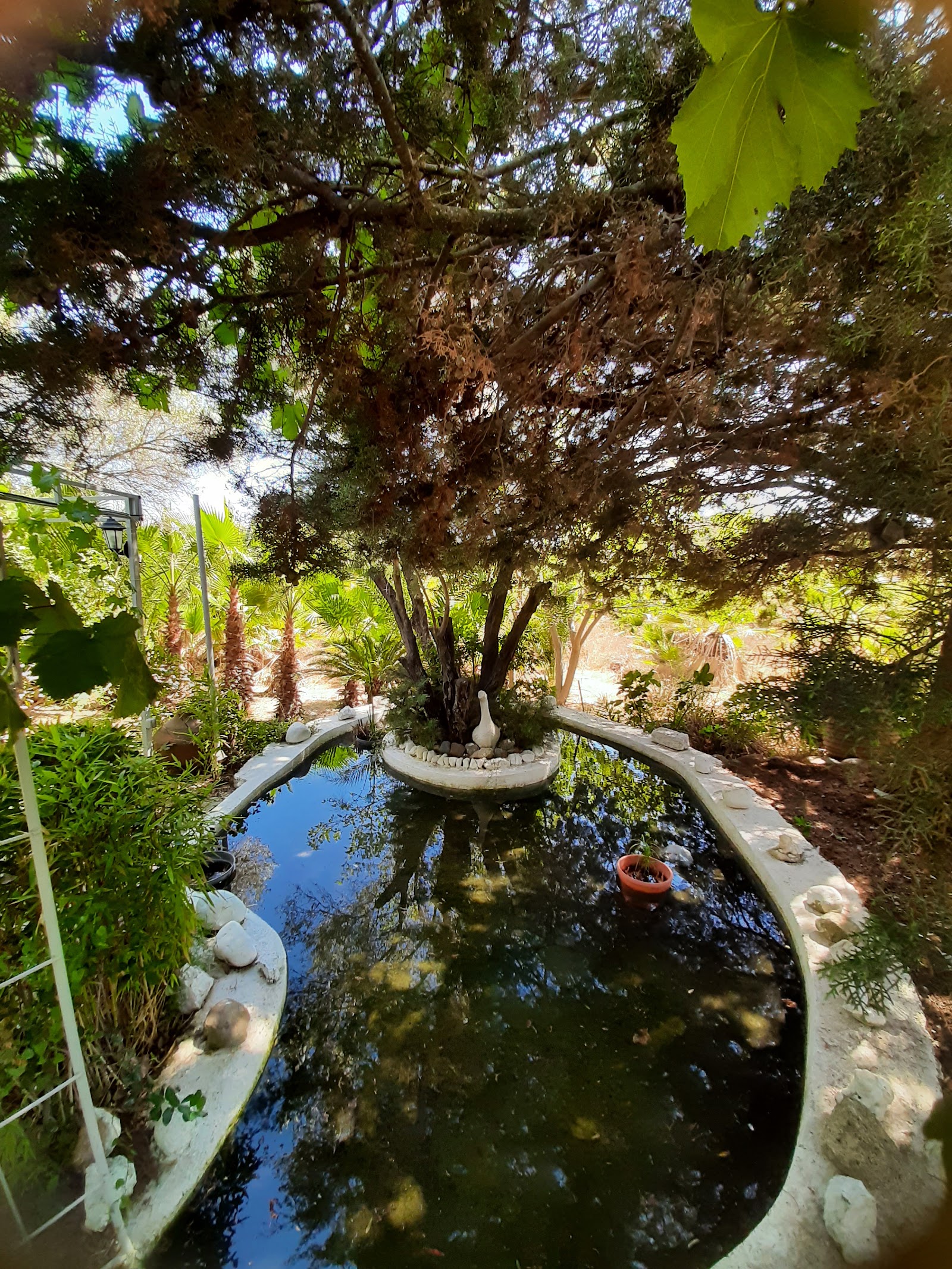 Tarla Alaçatı