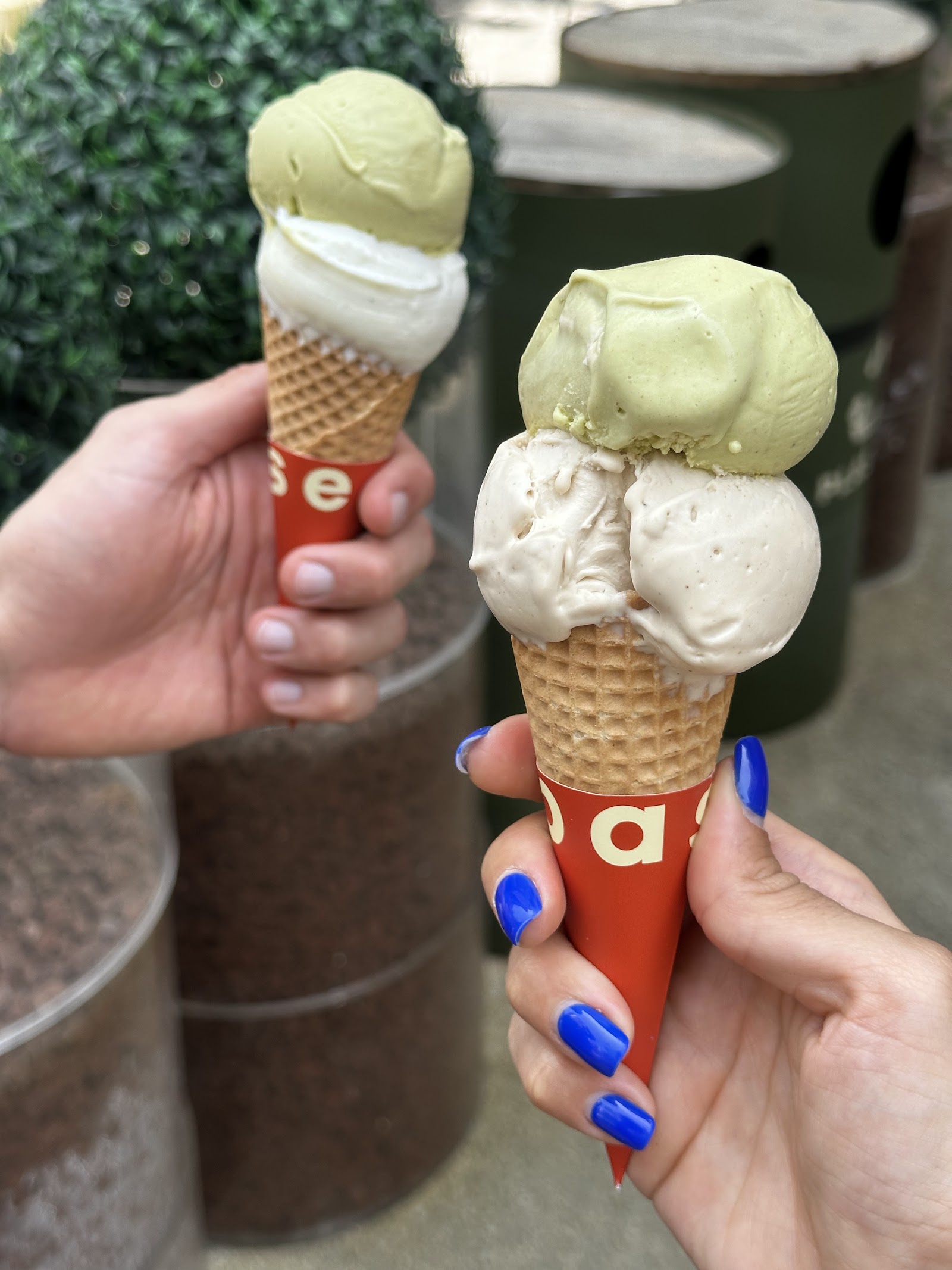 Paseo Gelato & Sorbet