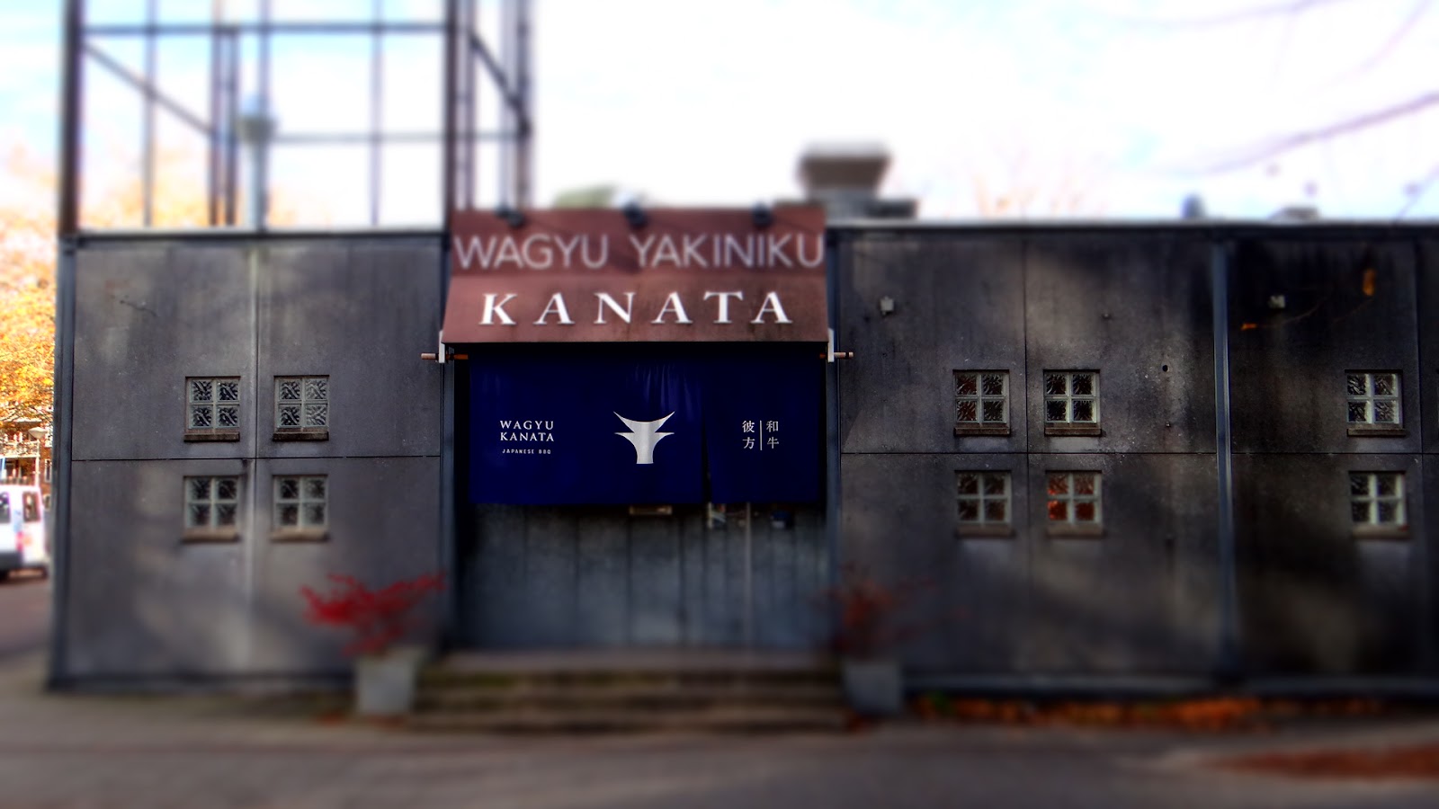WAGYU KANATA - ZUID