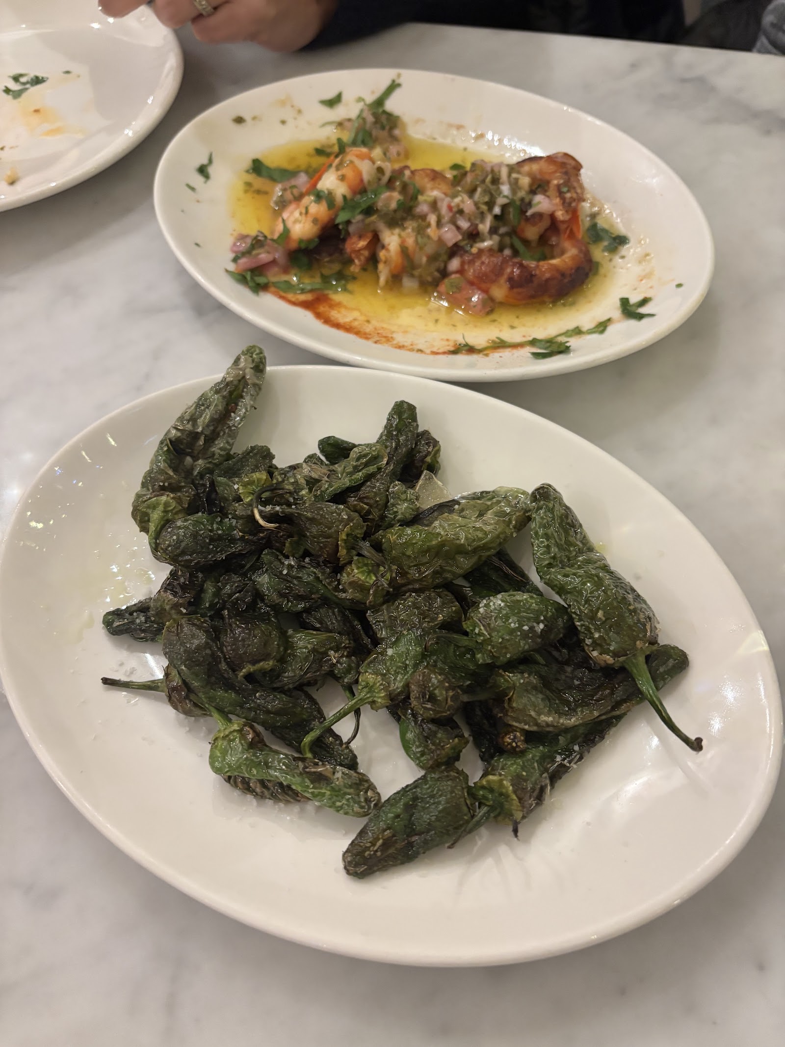 Chistera & Coquillages