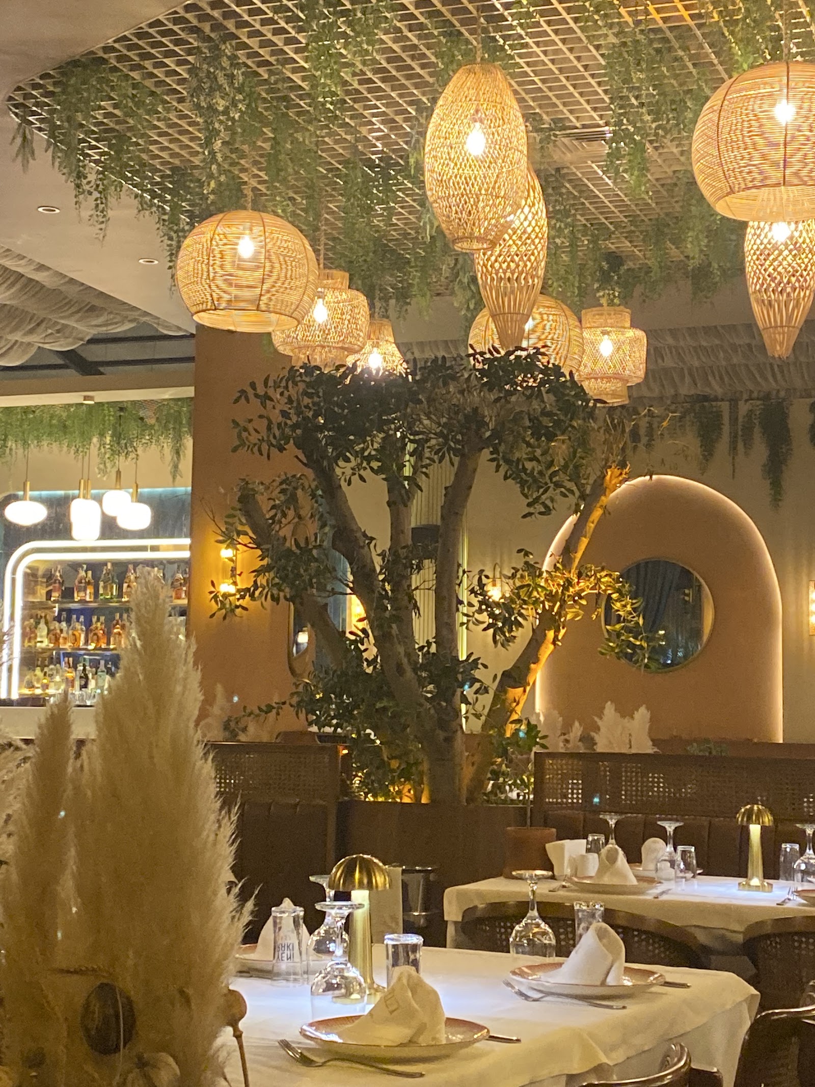 ZEYTİN BOSTANCI (OCAKBAŞI)