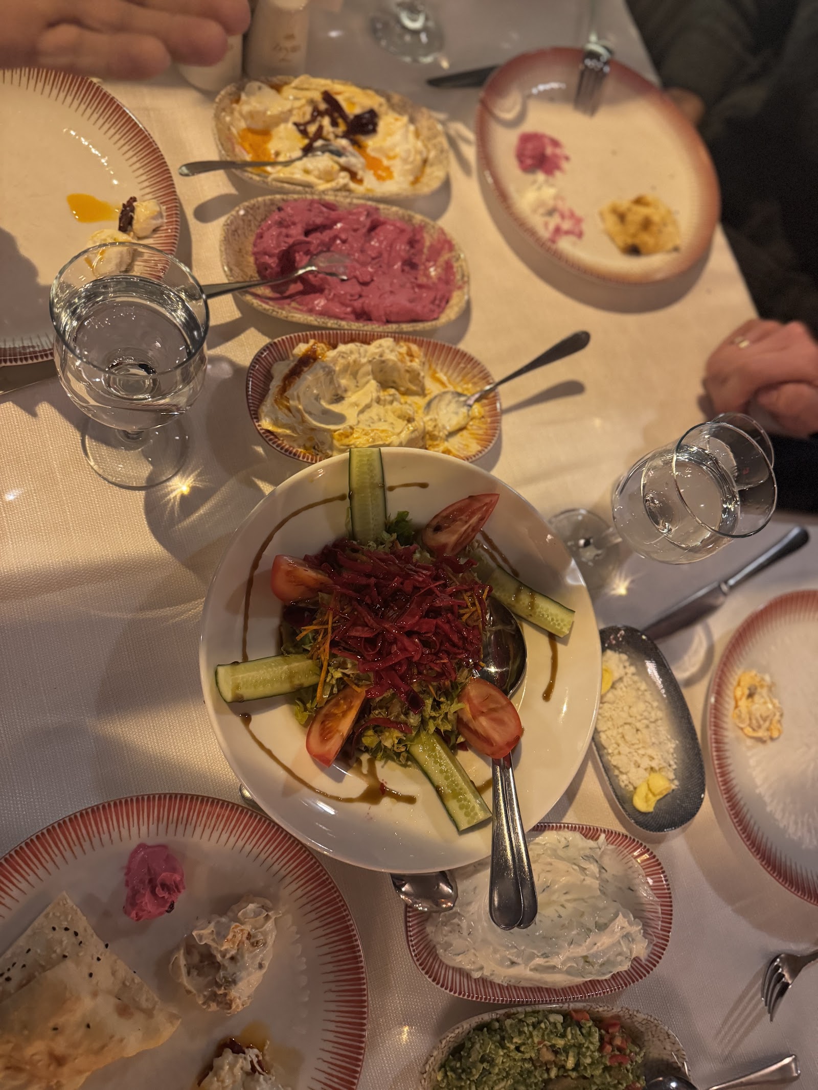 ZEYTİN BOSTANCI (OCAKBAŞI)